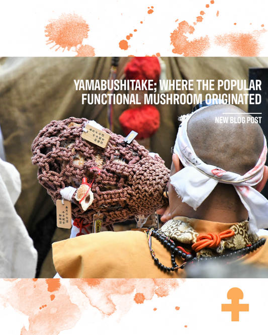 Yamabushi Monks, Using Lion's Mane Through the Ages