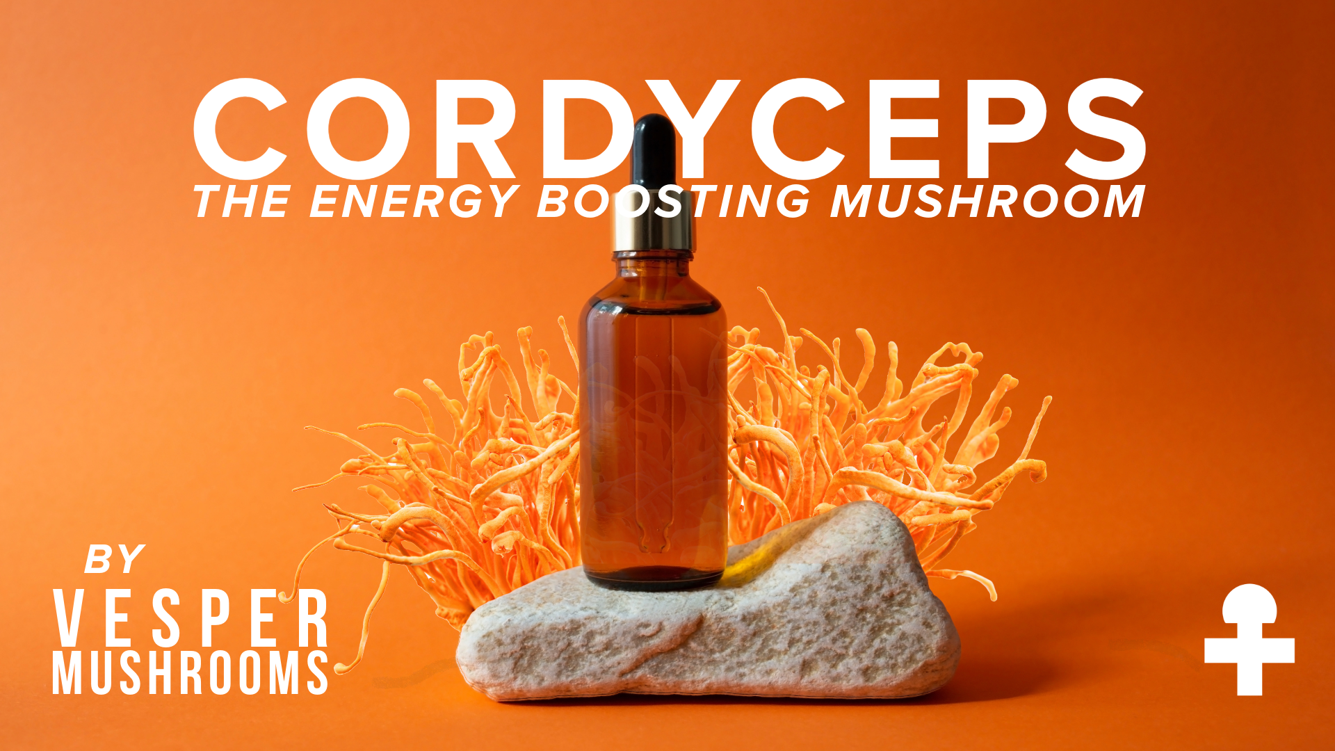 Mushrooms for energy, mushroom for adhd, cordyceps mushrooms, mushroom energy drink